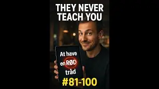 They Never Teach You Danish Phrases #81-100