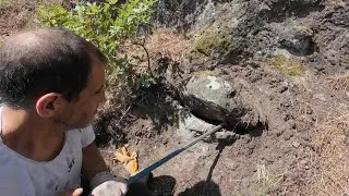 Золотое сокровище во рту рыбы – ужасающий артефакт!!!