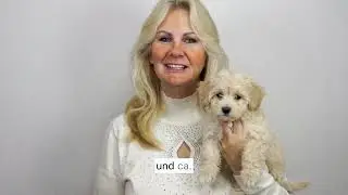 Maltipoo Welpen WERBUNG diehaustierseite.com