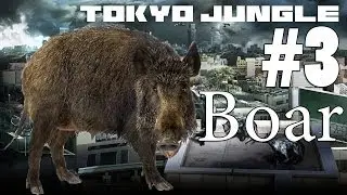 Tokyo Jungle - Boar Survival Part 3 of 3