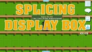 FROM SCRATCH TO 200  DISPLAY BOX TREES || GROWTOPIA || JAMASU