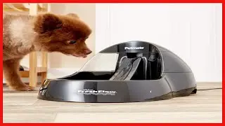 Petmate Deluxe Fresh Flow Dog and Cat Water Fountain 3 Sizes