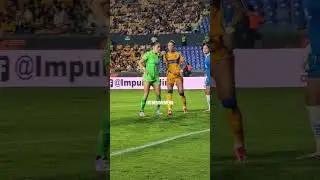 Palafox y Hermoso⚽ #ligamxfemenil #tigresfemenil #bravalacticas #normapafox #jennihermoso #rfef #fut