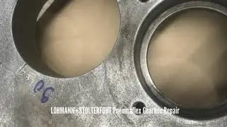 LOHMANN STOLTERFOHT Pneumaflex Gearbox Repair | GBS International