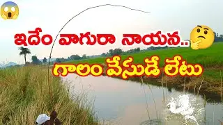 fish catching videos in village telugu | river fishing | fish hunting tricks in telugu