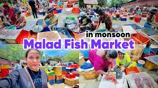 Barish Mei Malad Fish Market ka Haal | Prawns, Bombil,Halwa Khareedi | Zingaat Family Vlogs