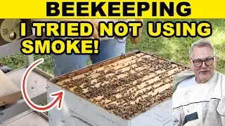 Beekeeping Experiment: Working a Hive Without Smoke (Not Recommended)