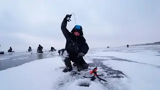 БЕЗУМНЫЙ КЛЁВ СУДАКА, КОТОРОГО Я НИКОГДА НЕ ВИДЕЛ! ЗИМНЯЯ РЫБАЛКА СО ЛЬДА