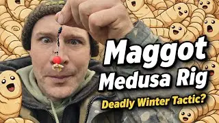 Maggots on the Medusa Rig Made Winter Carp Break All the Rules&hellip; Then They Surfaced! 