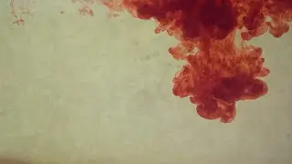 Frank Freeman - Autumn Lives [Chillhop Remix] Official Video