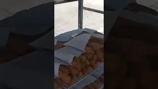 FRESHLY COOKED CHURROS!!! HOLLYWOOD BLVD. WALK OF FAME || Big Brother Journey