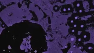 R2rcam - Snottynose (Slowed)
