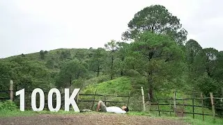 Let's Celebrate Together, The Joy of Reaching 100K
