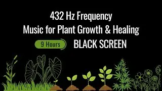 432 Hz Frequency Music for Plant Growth & Healing | Black Screen | 9 Hours