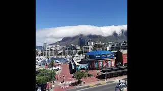 Two Oceans Aquarium, V & A Waterfront, Cape Town webcam Live Stream started 28Oct25