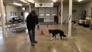 Beta Program Training Video