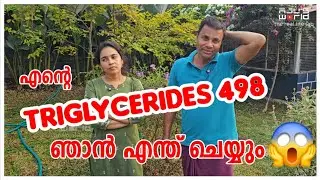 അടുത്ത ചിലവിന്റെ കാര്യം തീരുമാനം ആയി 🤣🤣🤣🤣/Gardening /Family vlog /Home garden 
