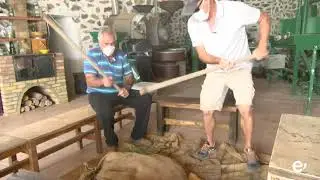 INREPOR. JUAN ESPINO - DEL MILLO AL GOFIO. 29-1-2021