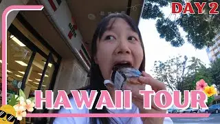 【ハワイダイビング体験】ホノルルの海を冒険！Hawaiiの物価事情⁉️セブンイレブンでのホロカード購入からスーパーでのお買い物＆自炊まで楽しむ旅♪ #Day2