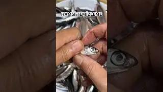 HAMSİ TEMİZLEME 🐟 BALIK AYIKLAMA TEKNİKLERİ #shorts