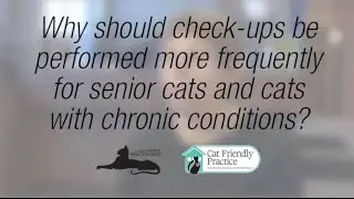 Why should check-ups be performed more frequently for senior cats and cats with chronic conditions?