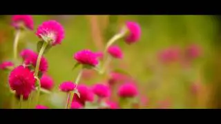 TEST LETUS EXTREME