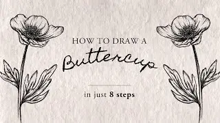 How To Draw a Buttercup | Easy To Follow Step By Step, Real Time Video