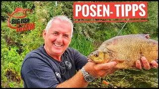 Friedfischangeln: Die wichtigsten Helfer f&uuml;rs Angeln mit der Waggler-Pose - Tipps vom Profi