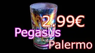 PEGASUS/PALERMO Aldi Nord/S&uuml;d  ▌Font&auml;nenbatterie heftiges Crackling ▌pyro#Freaks