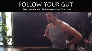 Follow your Gut! | Self Massage and Breathwork for Digestion | Taha Yoga w/ Stephen Beitler