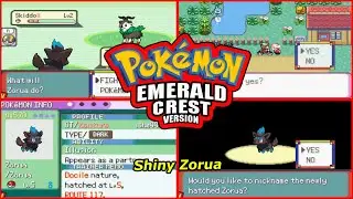 Shiny Zorua in only 564  EGGS! Speed Run | Pok&eacute;mon Emeral Crest GBA Rom Hack