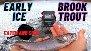 Early Ice Hidden Lake Brook Trout | Catch and Cook | Northern Wisconsin Ice Trout Fishing
