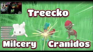 🌟The One Where I Catch Shiny Milcery, Treecko, and Cranidos🌟