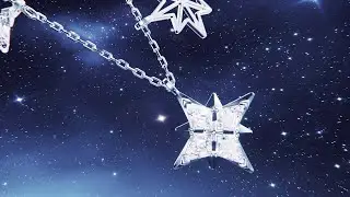 Swarovski | Holiday Gift