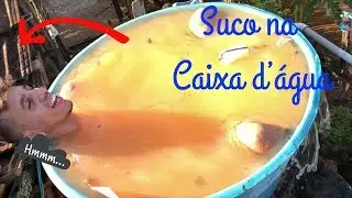 COLOQUEI SUCO NA CAIXA D’ÁGUA DA MINHA VÓ