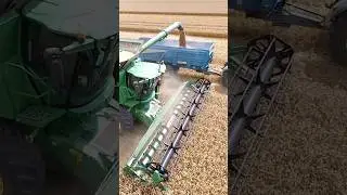 John Deere S680 & John Deere 6185R #harvest #farming #moisson #johndeere #farmlife #farmer #tractor