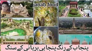 punjabi biryani recipe/پنجابی بریانی بنانے کا تریکا /janab food