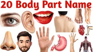 Learn Human Body Parts | 20 Body Parts for Kids | Easy English Vocabulary & Learning Video