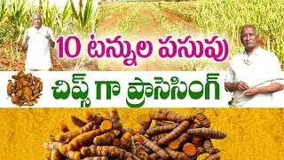 సరికొత్త పద్ధతిలో పసుపు పొడి తయారీ | Rajvardhan Reddy #పసుపుసాగు,#TurmericCultivation #DesiTurmeric