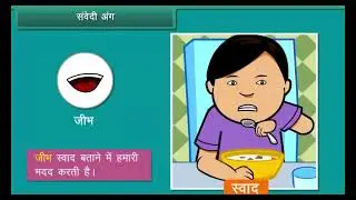 Human Body 🧍&zwj;♂️ | Class 3 EVS (Hindi) | Kids Learning