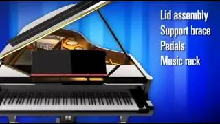 Custom Movers Services - Piano Services Video