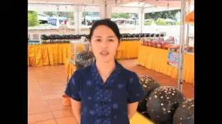 Wat Phra That Choeng Chum Worrawiharn