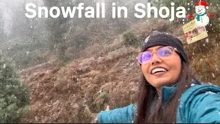 Our First Snowfall in Shoja | Live Snowfall Experience in the Himalayas