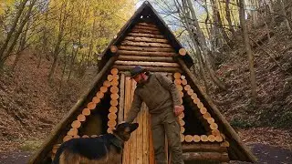 Building a Primitive Forest Cabin | Survival Wood House Construction in the Wild