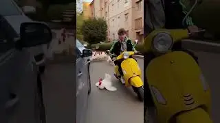 When Chickens Attack: Scooter Escape