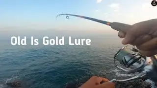 Old Is Gold My Favourite Fishing Lure @Sea_Monsters_Vaibhav 