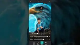 Picsart Eagle Photo Editing Tutorial | Picsart Mein photo edit kaise karen 30 second #shorts