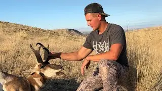 Antelope 2018