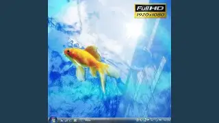 My Online Journal (HD Version)
