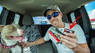 What Calibers Have Survived The 2020 Ammo Shortage???